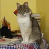 Отзыв от Диана Григорьева